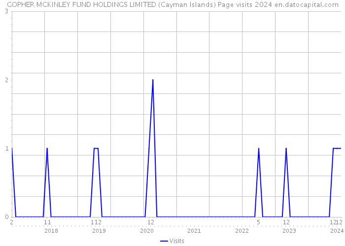 GOPHER MCKINLEY FUND HOLDINGS LIMITED (Cayman Islands) Page visits 2024 