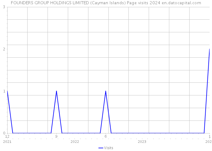 FOUNDERS GROUP HOLDINGS LIMITED (Cayman Islands) Page visits 2024 