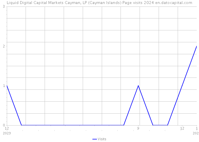 Liquid Digital Capital Markets Cayman, LP (Cayman Islands) Page visits 2024 