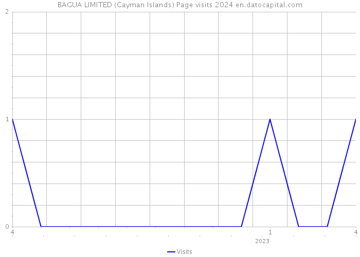 BAGUA LIMITED (Cayman Islands) Page visits 2024 