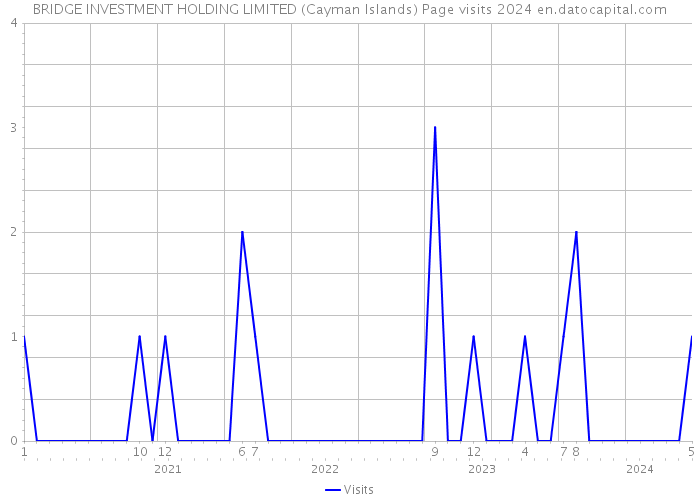 BRIDGE INVESTMENT HOLDING LIMITED (Cayman Islands) Page visits 2024 