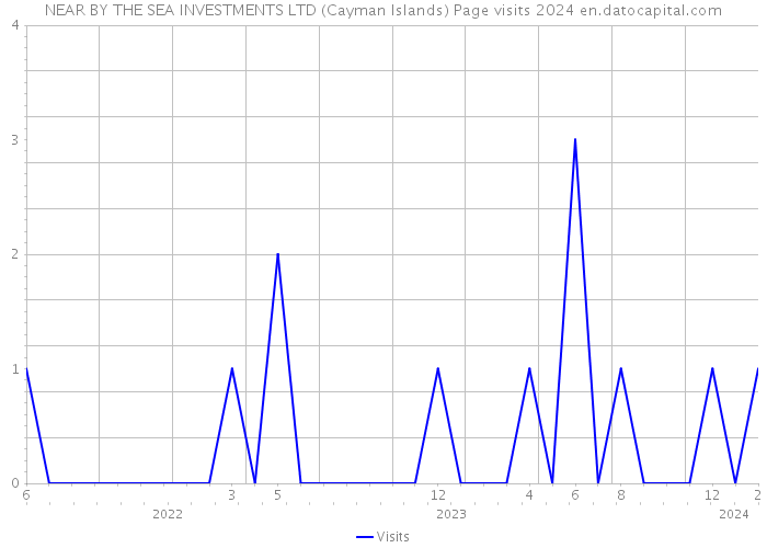 NEAR BY THE SEA INVESTMENTS LTD (Cayman Islands) Page visits 2024 