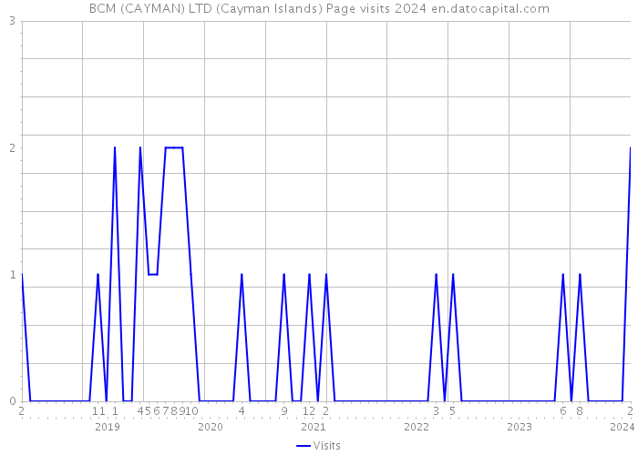 BCM (CAYMAN) LTD (Cayman Islands) Page visits 2024 