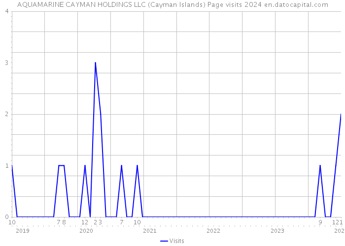 AQUAMARINE CAYMAN HOLDINGS LLC (Cayman Islands) Page visits 2024 