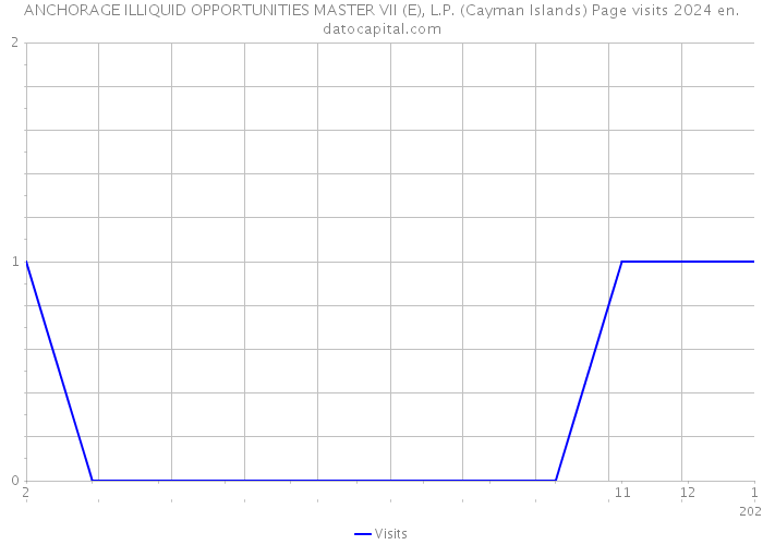 ANCHORAGE ILLIQUID OPPORTUNITIES MASTER VII (E), L.P. (Cayman Islands) Page visits 2024 