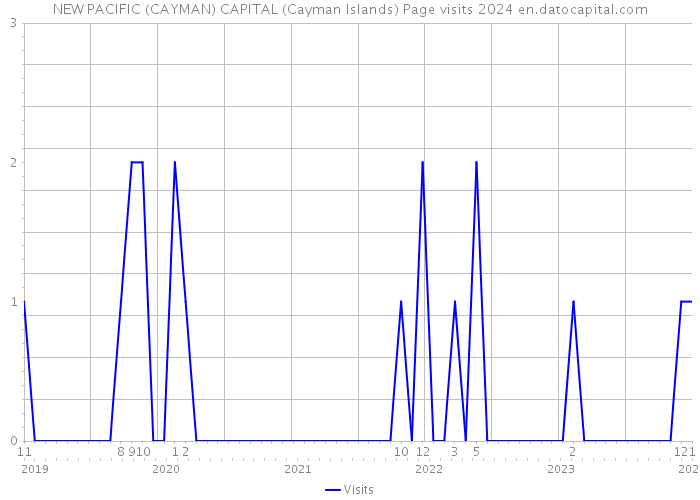 NEW PACIFIC (CAYMAN) CAPITAL (Cayman Islands) Page visits 2024 