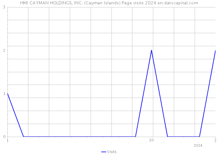 HMI CAYMAN HOLDINGS, INC. (Cayman Islands) Page visits 2024 