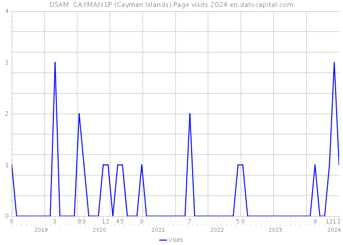 DSAM+ CAYMAN LP (Cayman Islands) Page visits 2024 