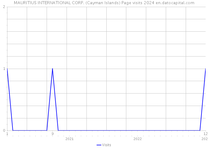 MAURITIUS INTERNATIONAL CORP. (Cayman Islands) Page visits 2024 