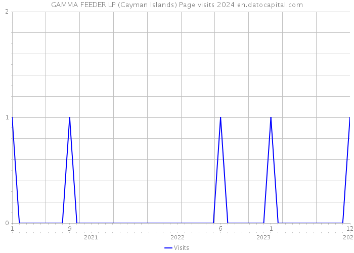 GAMMA FEEDER LP (Cayman Islands) Page visits 2024 
