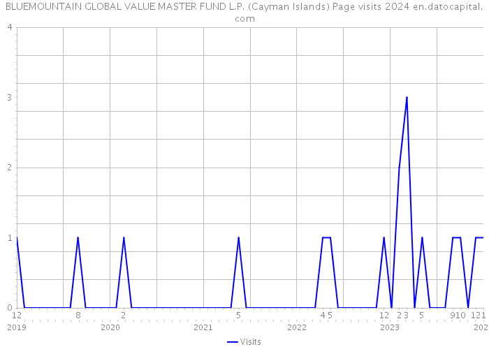 BLUEMOUNTAIN GLOBAL VALUE MASTER FUND L.P. (Cayman Islands) Page visits 2024 