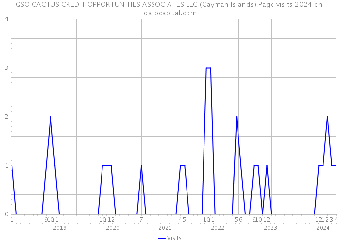GSO CACTUS CREDIT OPPORTUNITIES ASSOCIATES LLC (Cayman Islands) Page visits 2024 