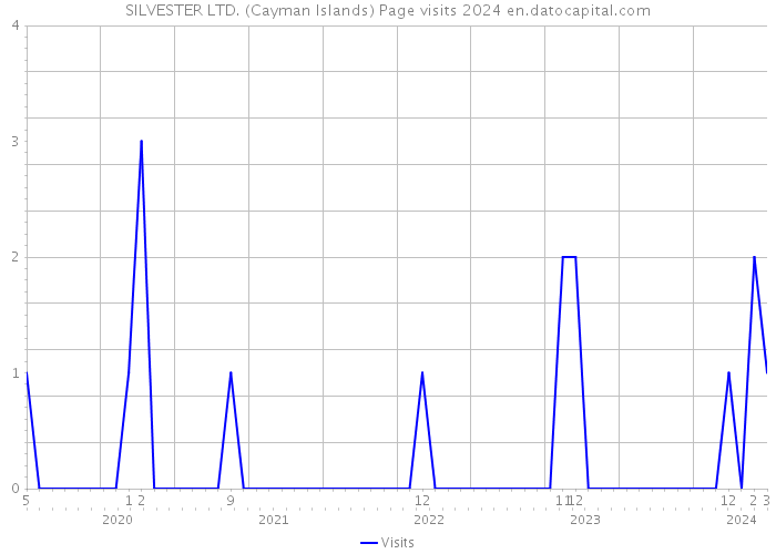 SILVESTER LTD. (Cayman Islands) Page visits 2024 