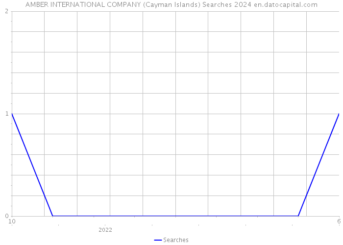 AMBER INTERNATIONAL COMPANY (Cayman Islands) Searches 2024 