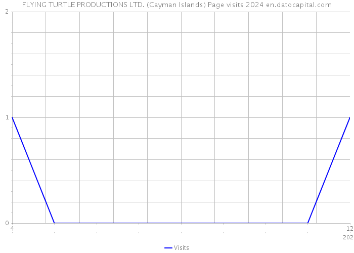 FLYING TURTLE PRODUCTIONS LTD. (Cayman Islands) Page visits 2024 