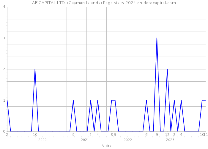 AE CAPITAL LTD. (Cayman Islands) Page visits 2024 