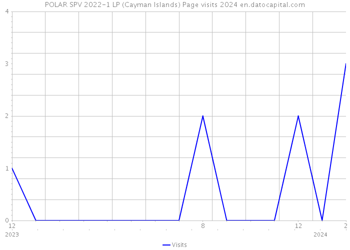 POLAR SPV 2022-1 LP (Cayman Islands) Page visits 2024 