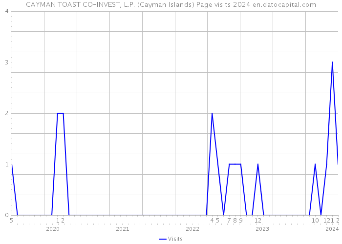 CAYMAN TOAST CO-INVEST, L.P. (Cayman Islands) Page visits 2024 