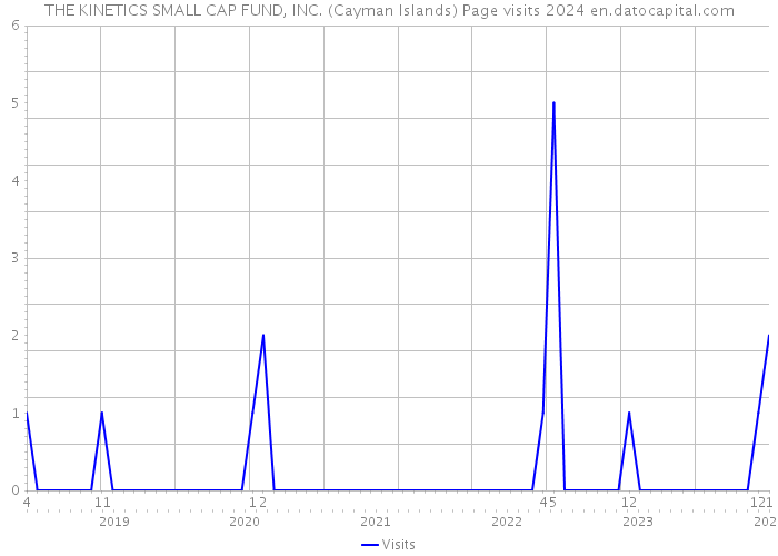 THE KINETICS SMALL CAP FUND, INC. (Cayman Islands) Page visits 2024 