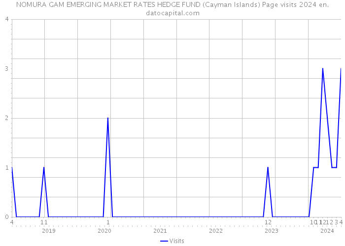 NOMURA GAM EMERGING MARKET RATES HEDGE FUND (Cayman Islands) Page visits 2024 