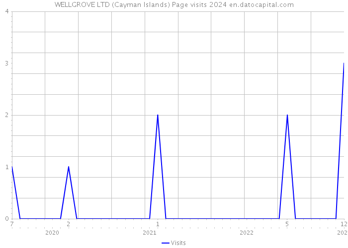 WELLGROVE LTD (Cayman Islands) Page visits 2024 