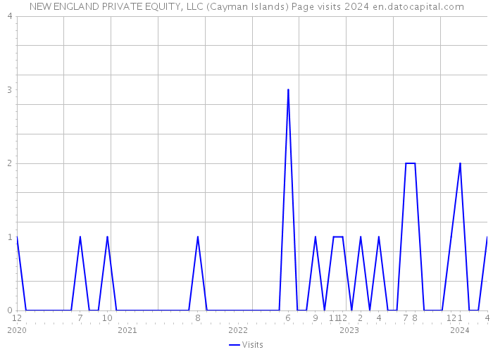 NEW ENGLAND PRIVATE EQUITY, LLC (Cayman Islands) Page visits 2024 