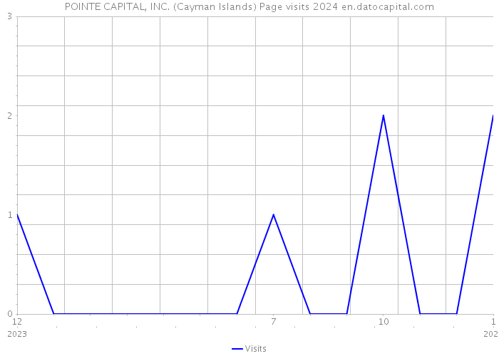 POINTE CAPITAL, INC. (Cayman Islands) Page visits 2024 