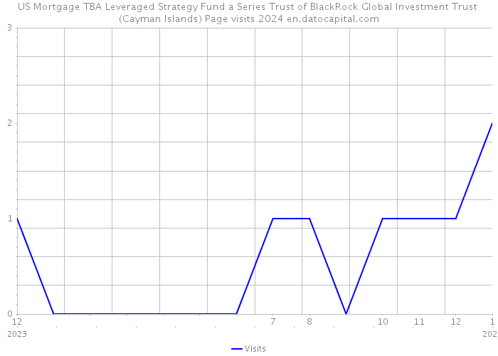 US Mortgage TBA Leveraged Strategy Fund a Series Trust of BlackRock Global Investment Trust (Cayman Islands) Page visits 2024 
