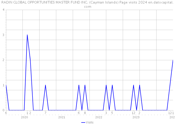RADIN GLOBAL OPPORTUNITIES MASTER FUND INC. (Cayman Islands) Page visits 2024 