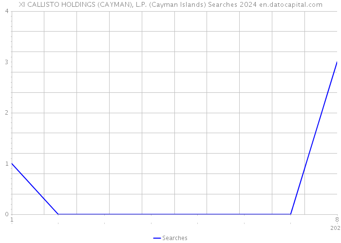 XI CALLISTO HOLDINGS (CAYMAN), L.P. (Cayman Islands) Searches 2024 