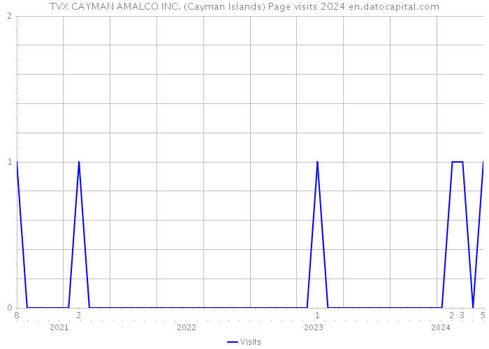 TVX CAYMAN AMALCO INC. (Cayman Islands) Page visits 2024 