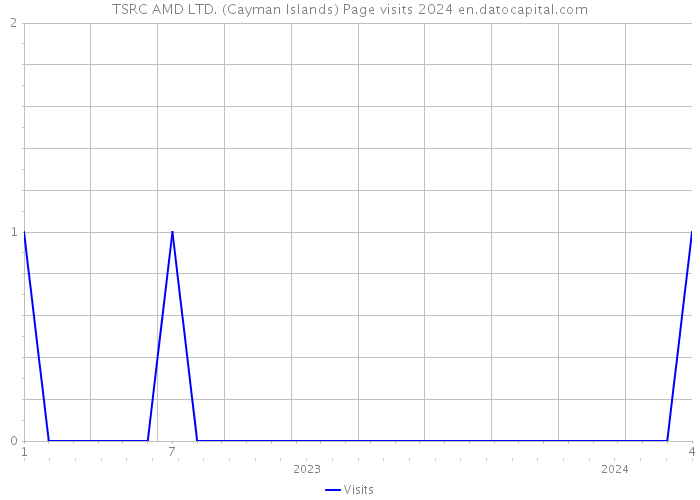 TSRC AMD LTD. (Cayman Islands) Page visits 2024 