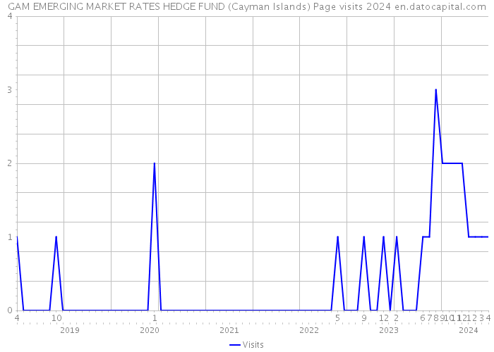 GAM EMERGING MARKET RATES HEDGE FUND (Cayman Islands) Page visits 2024 
