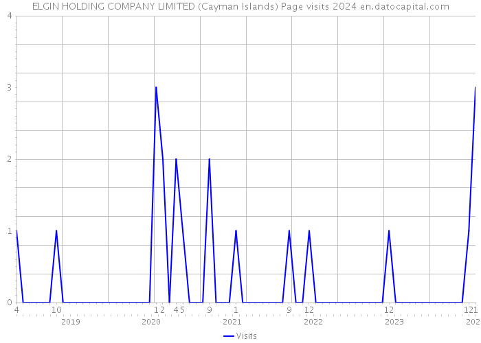 ELGIN HOLDING COMPANY LIMITED (Cayman Islands) Page visits 2024 