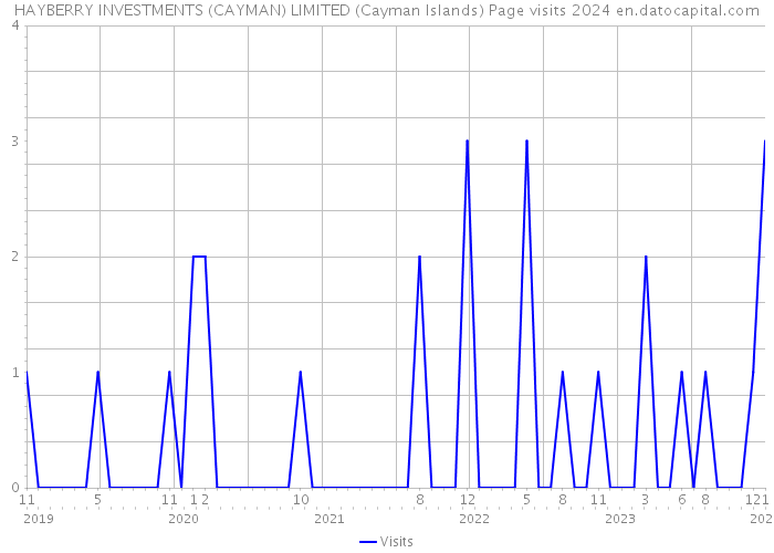 HAYBERRY INVESTMENTS (CAYMAN) LIMITED (Cayman Islands) Page visits 2024 