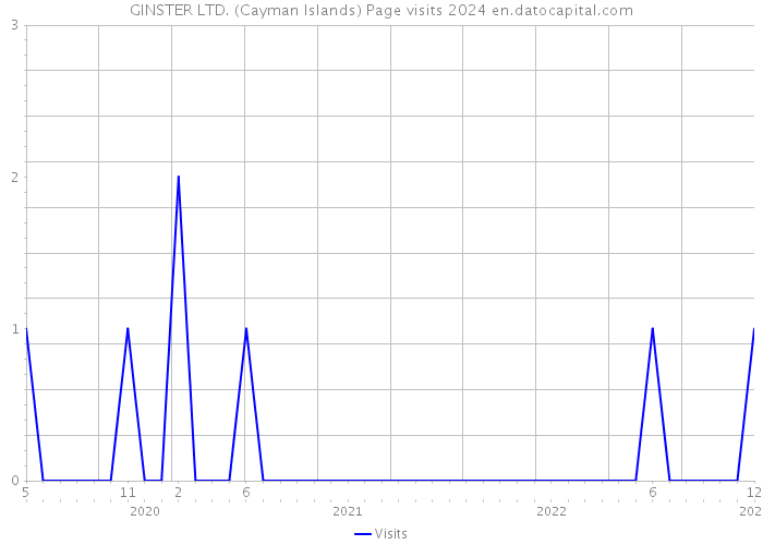GINSTER LTD. (Cayman Islands) Page visits 2024 