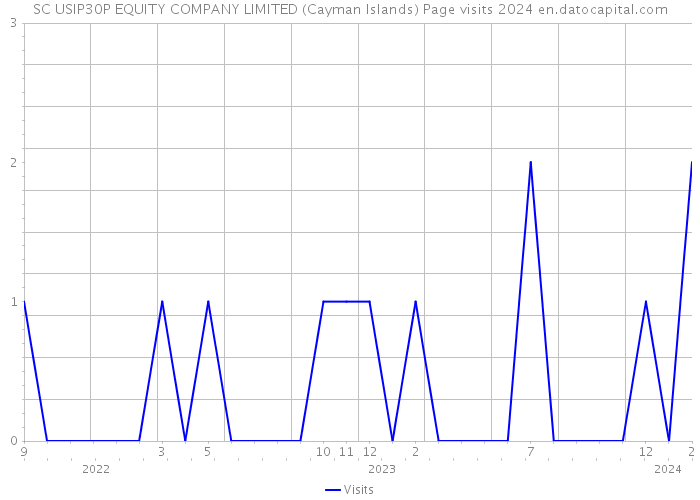 SC USIP30P EQUITY COMPANY LIMITED (Cayman Islands) Page visits 2024 