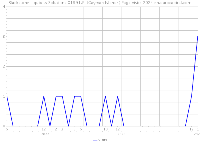 Blackstone Liquidity Solutions 0199 L.P. (Cayman Islands) Page visits 2024 