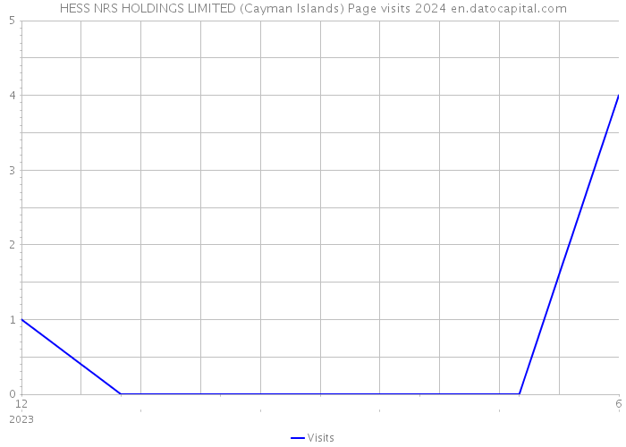 HESS NRS HOLDINGS LIMITED (Cayman Islands) Page visits 2024 