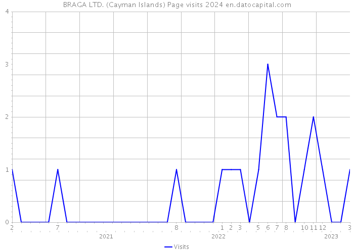 BRAGA LTD. (Cayman Islands) Page visits 2024 