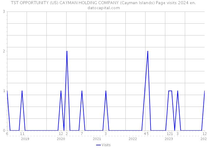 TST OPPORTUNITY (US) CAYMAN HOLDING COMPANY (Cayman Islands) Page visits 2024 