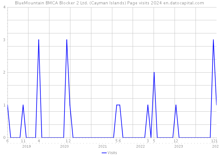 BlueMountain BMCA Blocker 2 Ltd. (Cayman Islands) Page visits 2024 