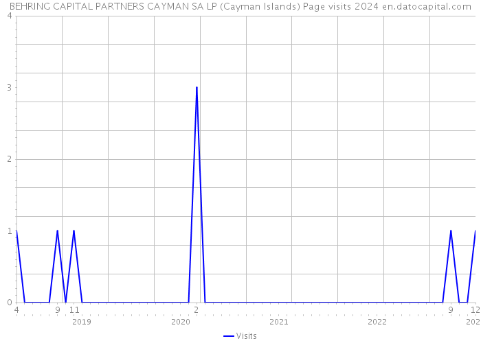 BEHRING CAPITAL PARTNERS CAYMAN SA LP (Cayman Islands) Page visits 2024 
