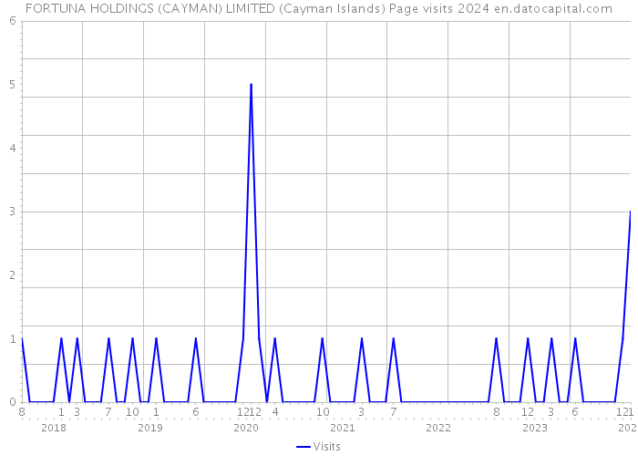FORTUNA HOLDINGS (CAYMAN) LIMITED (Cayman Islands) Page visits 2024 