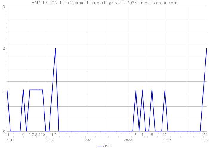 HM4 TRITON, L.P. (Cayman Islands) Page visits 2024 