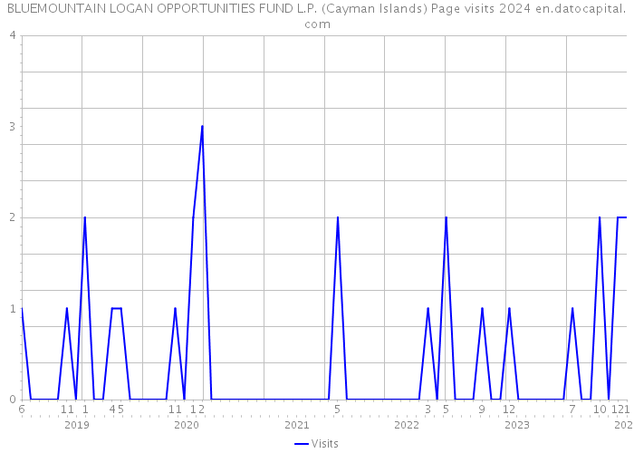 BLUEMOUNTAIN LOGAN OPPORTUNITIES FUND L.P. (Cayman Islands) Page visits 2024 