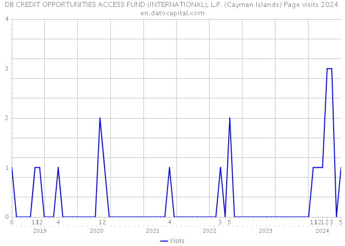 DB CREDIT OPPORTUNITIES ACCESS FUND (INTERNATIONAL), L.P. (Cayman Islands) Page visits 2024 
