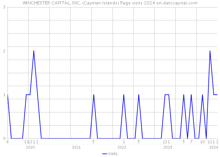 WINCHESTER CAPITAL, INC. (Cayman Islands) Page visits 2024 