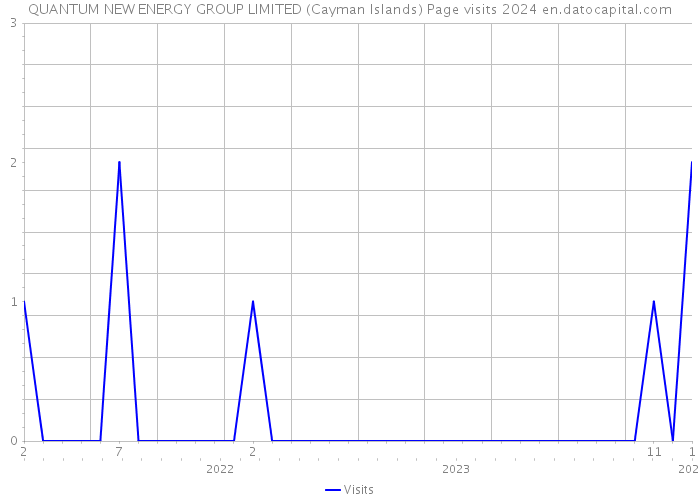 QUANTUM NEW ENERGY GROUP LIMITED (Cayman Islands) Page visits 2024 