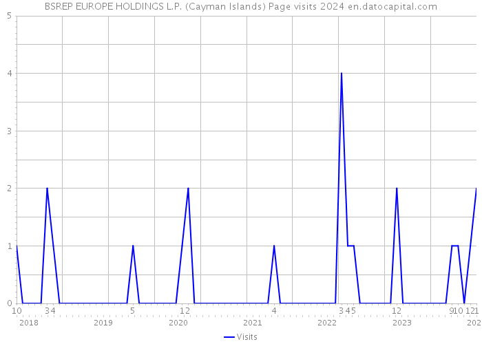 BSREP EUROPE HOLDINGS L.P. (Cayman Islands) Page visits 2024 